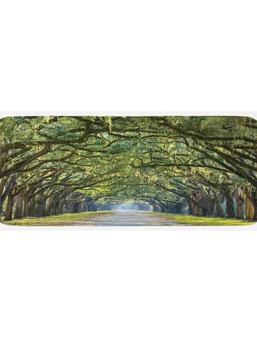 AMBESONNE Forest Kitchen Floor Mat, New with No Tags